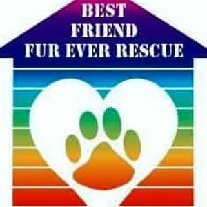Best Friend Fur Ever Rescue Inc Logo