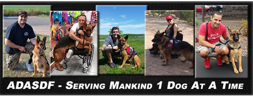 ADASDF (Active Dogs Academy Service Dog Foundation)