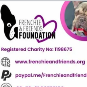 Frenchie and friends foundation