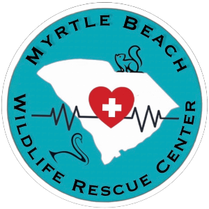 Myrtle Beach Wildlife Rescue Center