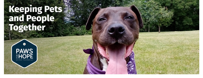 Paws for Hope Animal Foundation