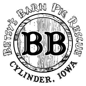 Betsy's Barn Pig Rescue