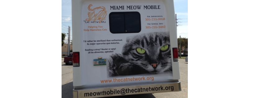 The Cat Network, Inc.