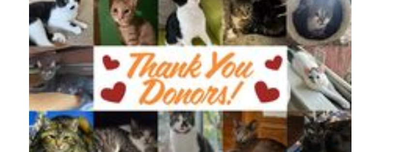 Keller's Kats Rescue Inc.