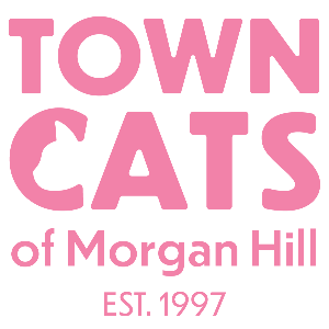 Town Cats of Morgan Hill