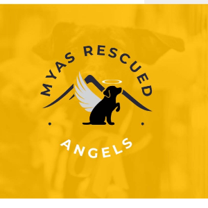 Myas rescued angels