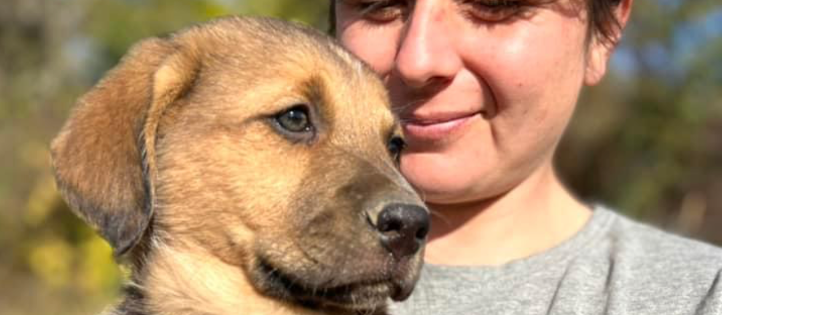Nala dog rescue UK
