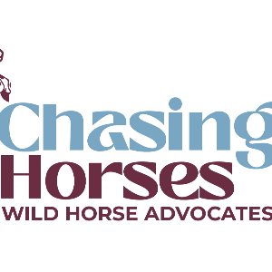Chasing Horses Wild Horse Advocates Logo
