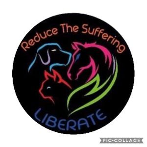 Reduce the suffering (Liberate)