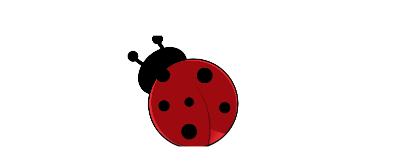 The RED Perspective, Inc.