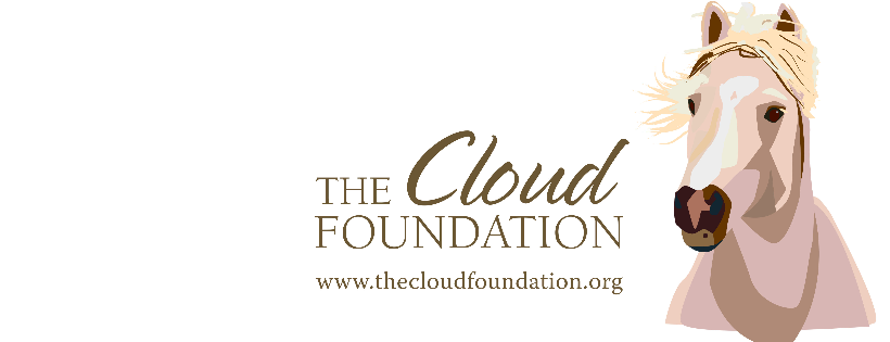 The Cloud Foundation