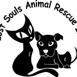 Lost Souls Animal Rescue (Inc)