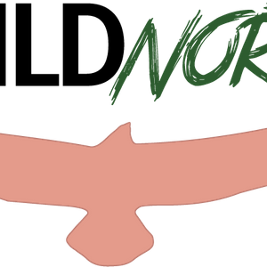WILDNorth Logo