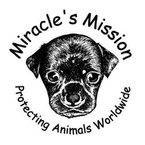 Miracle's Mission