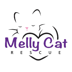 Melly cat rescue