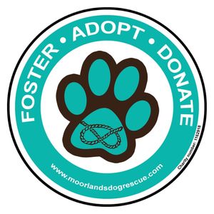 Moorlands Dog Rescue