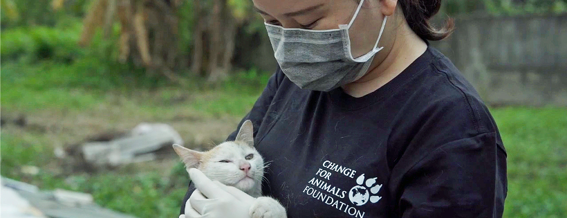 Change For Animals Foundation