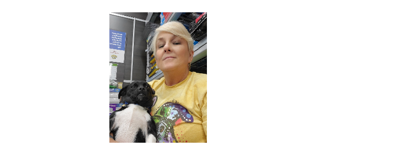 Castaways Pet Rescue