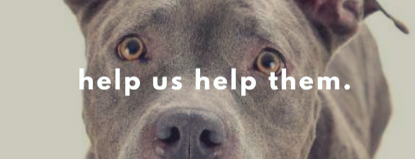 Fur-Ever Home Rescue