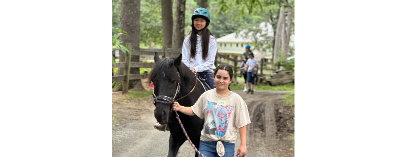 Wildstar Equine Assisted Activities and Therapy, Inc.