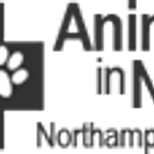 Animals in Need
