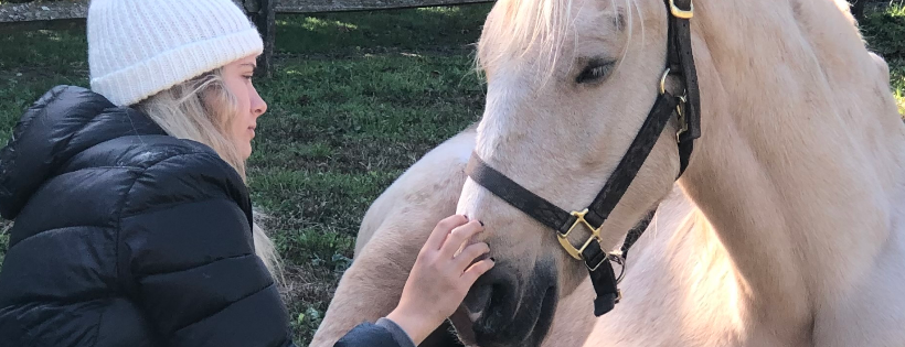 Furvivors Wonderland Horse Rescue & Animal Sanctuary