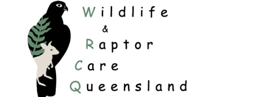 Wildlife & Raptor Care Queensland Inc.