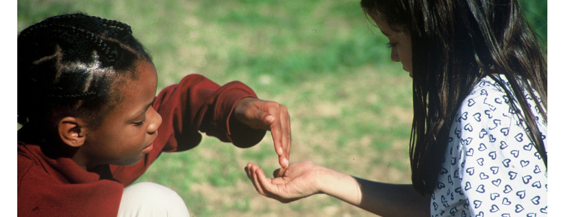 Growing Alternative Resource Development And Enterprise Network