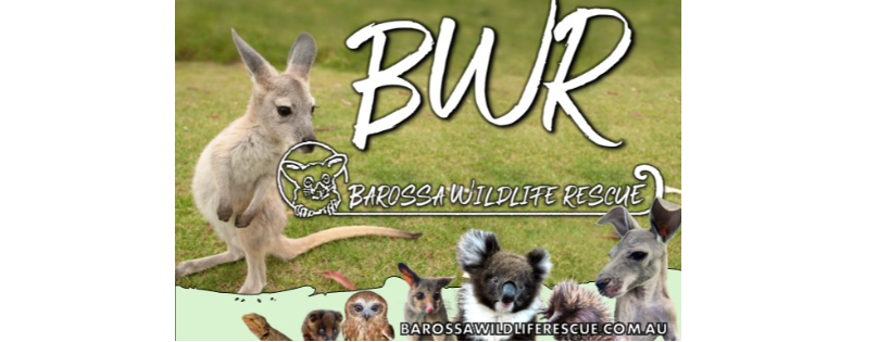 Barossa Wildlife Rescue
