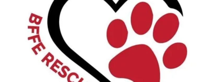 Best friends for ever rescue Illawarra