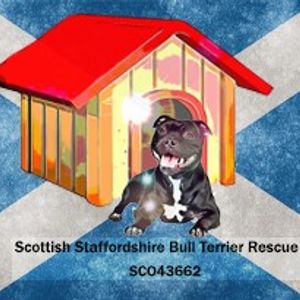 Scottish Staffordshire bull terrier rescue Logo