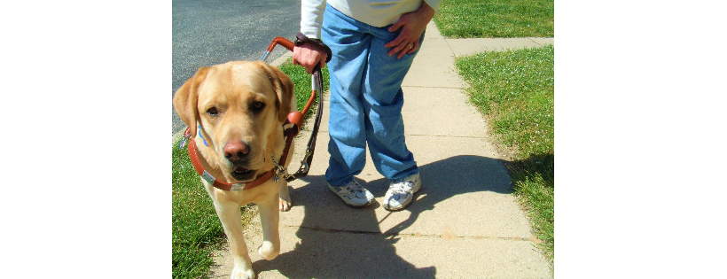 Freedom Guide Dogs for the Blind, Inc.