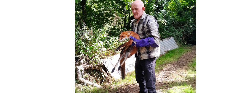 Norfolk Wildlife Rescue