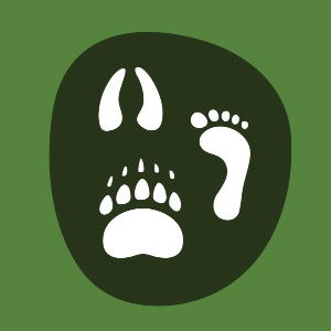 Sitka Conservation Society Logo