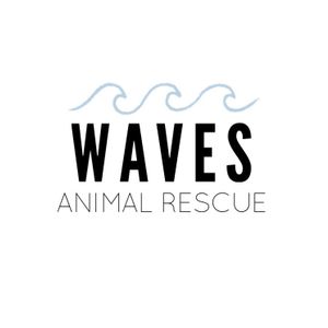 Making Waves Animal Rescue