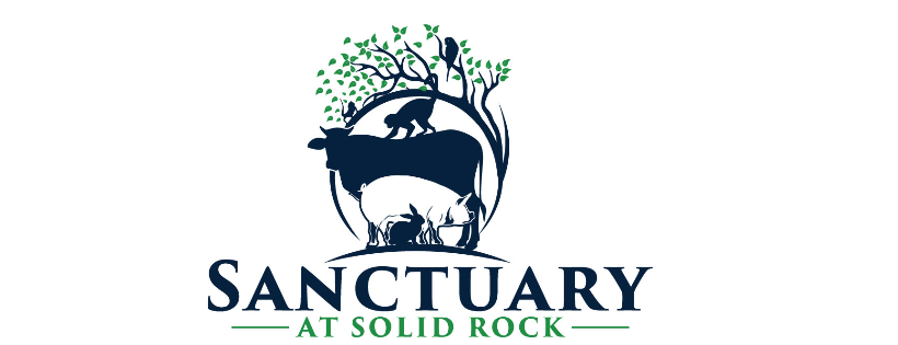 Solid Rock Community School
