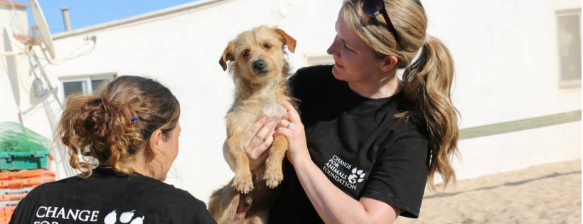Change For Animals Foundation