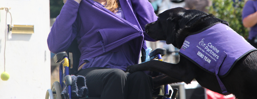 Canine Partners