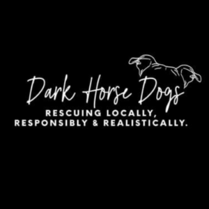 Dark Horse Dogs, NFP Logo