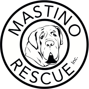 Mastino Rescue, Incorporated