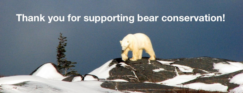 Great Bear Foundation of Montana
