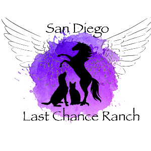 San Diego Last Chance Ranch