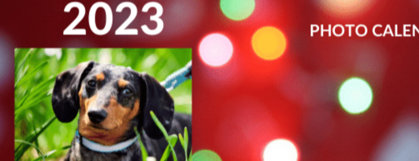 Kentucky Dachshund Rescue, Inc