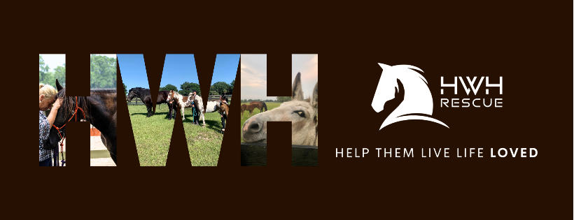 Horses Without Humans Rescue