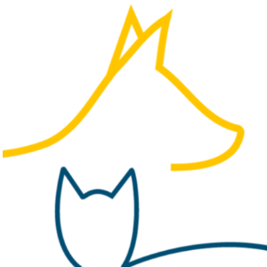 Dorchester Paws Logo