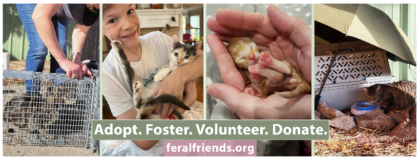 Feral Friends