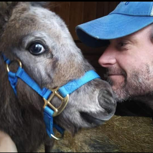 Davy's TherAppy Farm, Inc.