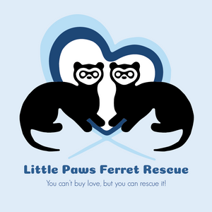 Little Paws Ferret Rescue