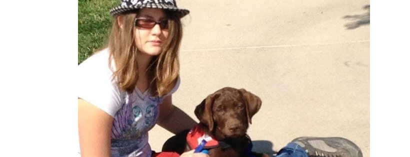 Domino Service Dogs