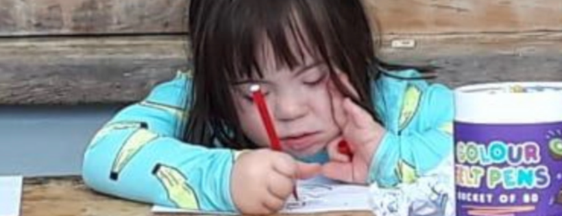 UpsideDowns Education Trust